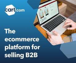 text reading the ecommerce platform for selling b2b, image of person shopping ecommerce clothing store on laptop