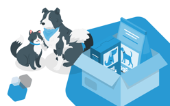 cat and dog next to a package of pet supplies, representing pet product order fulfillment
