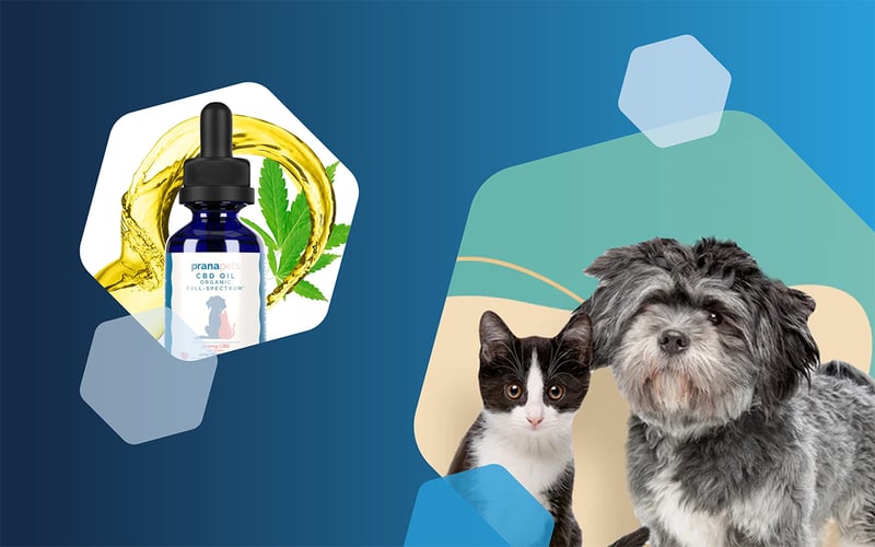 prana pets cbd oil dropper bottle, cat and dog