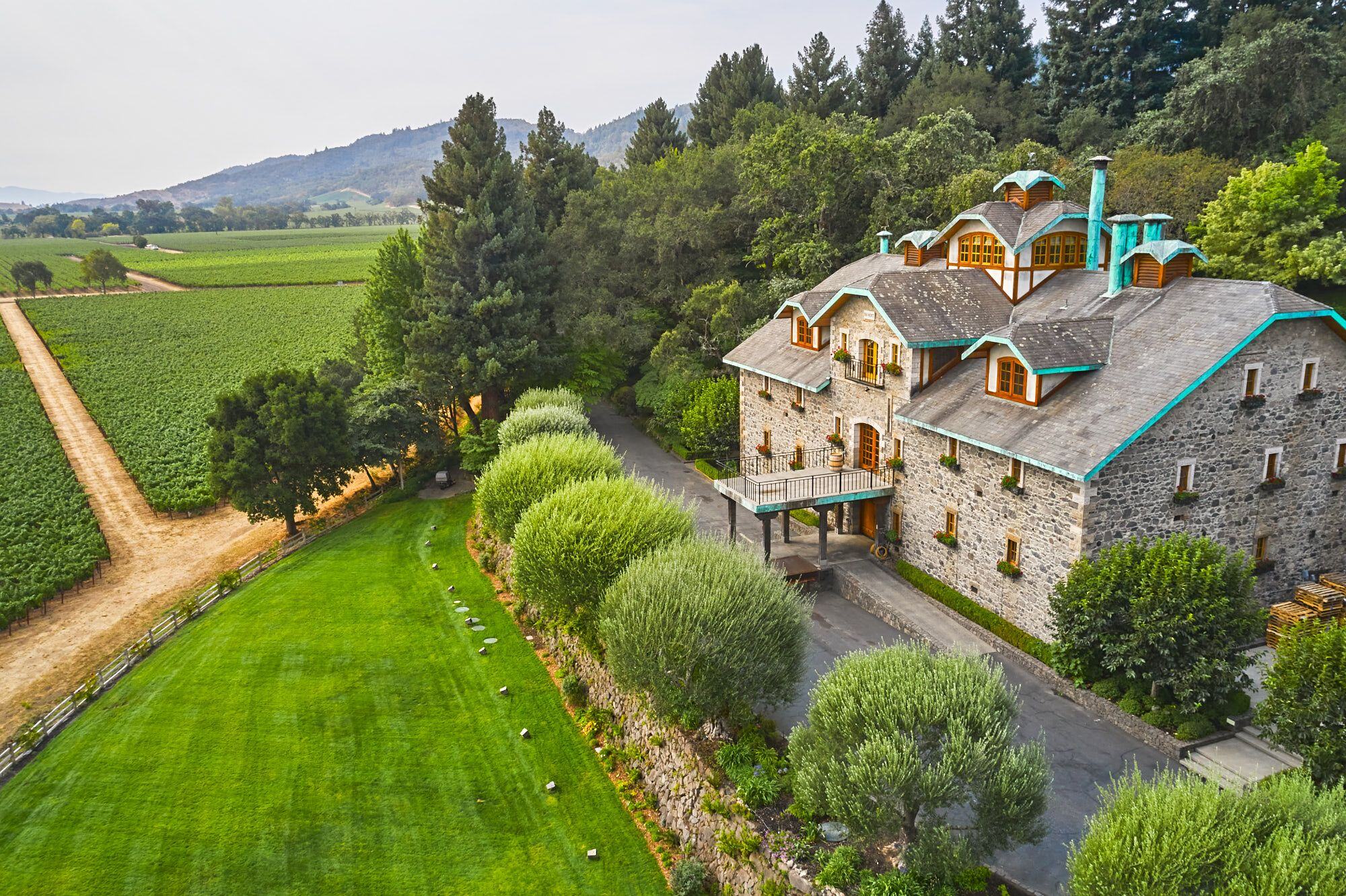 vinyard-1
