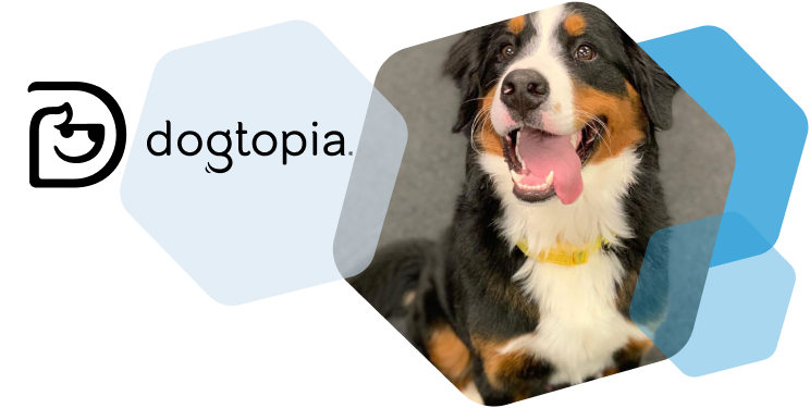 Dogtopia Partner Cart.com