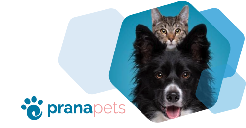 Prana Pets brand logo, cat and dog